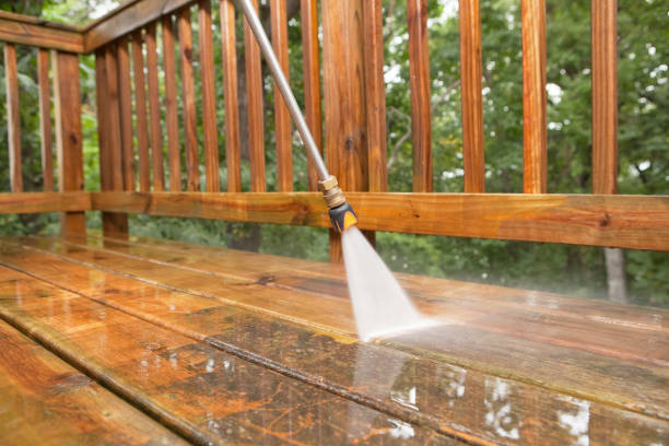 Best Roof Pressure Washing  in Cheviot, OH